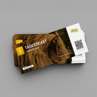 Tagesticket für Jugendliche/Erwachsene